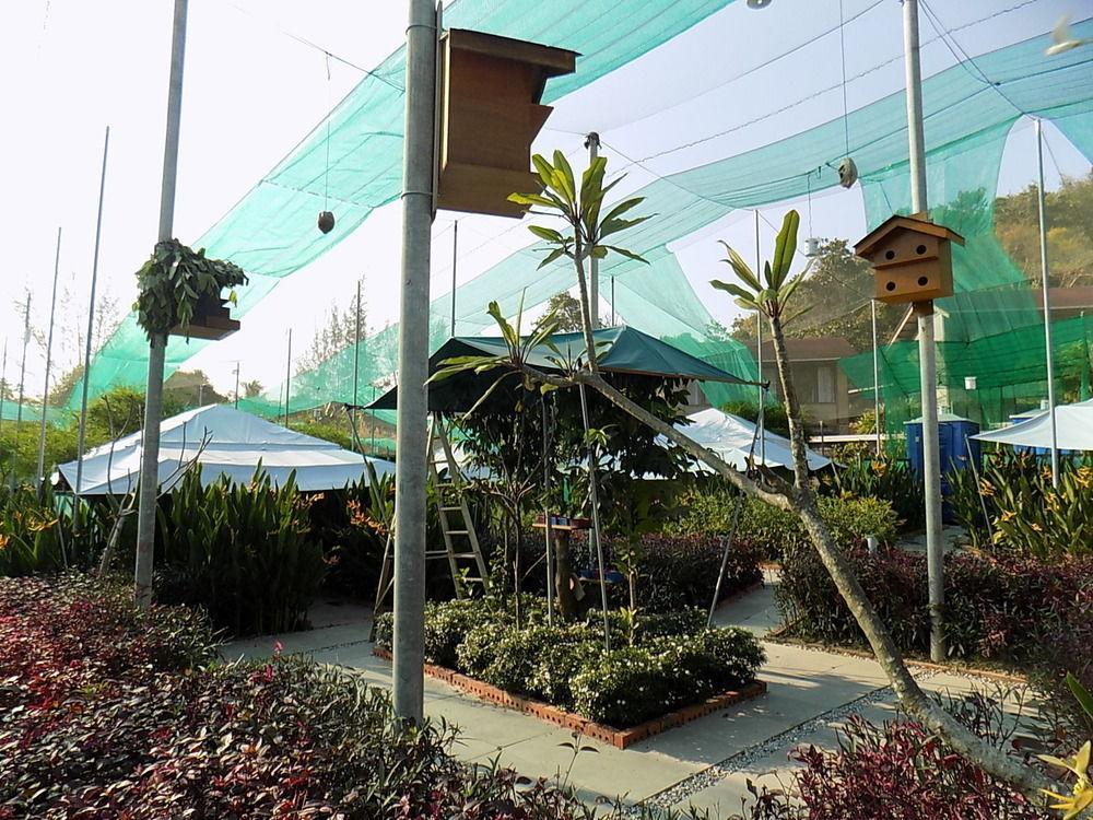 T Star Cottage Langkawi Pantai Cenang  Εξωτερικό φωτογραφία