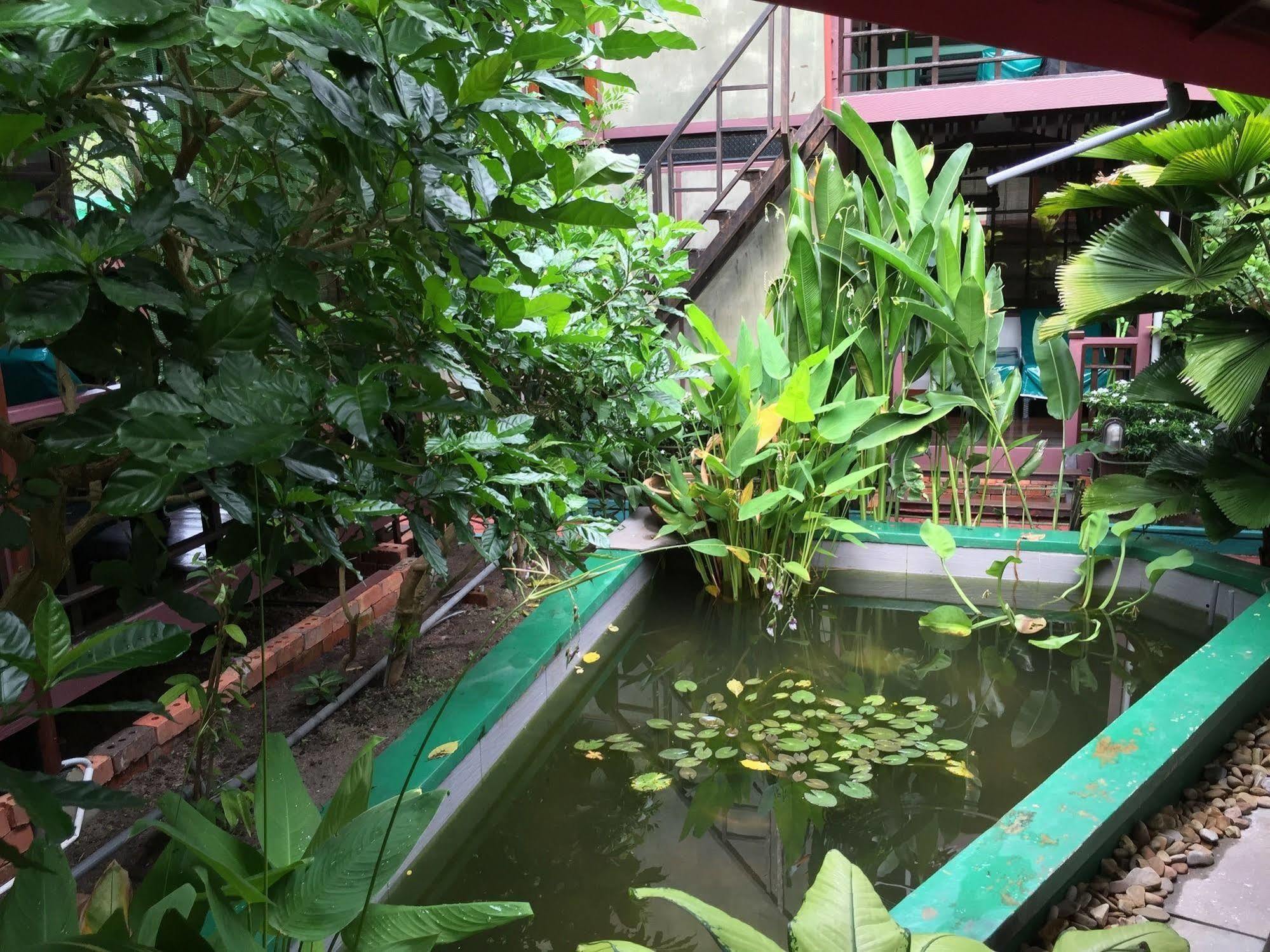 T Star Cottage Langkawi Pantai Cenang  Εξωτερικό φωτογραφία